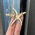 Изящна кристална морска звезда брошка в преливащо синьо, виолетово и бяло, размер 5,5 на 5,5 см - S-B1408